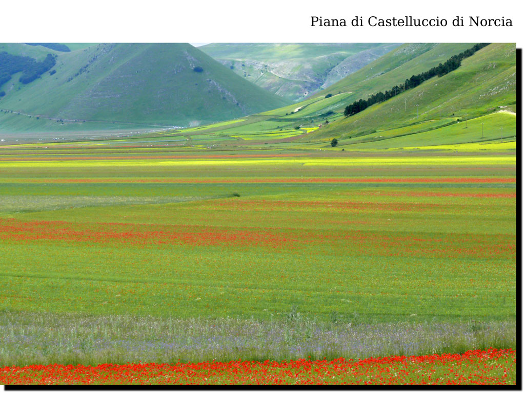 Piana di Castelluccio