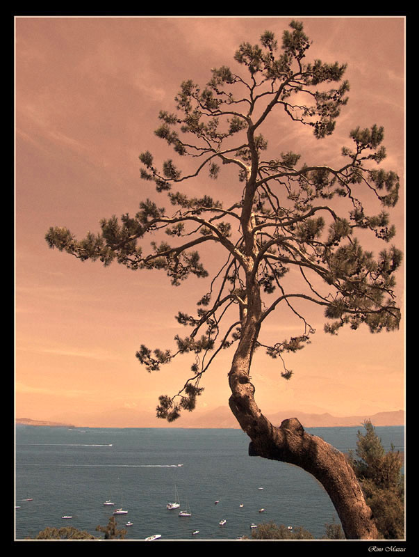 Felice di esistere....