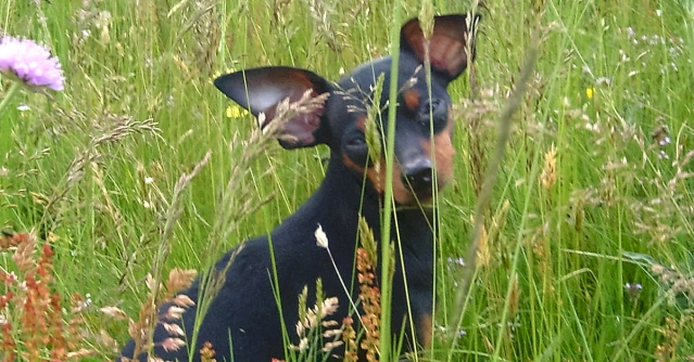c'ero..anche io..!!!(castelluccio )