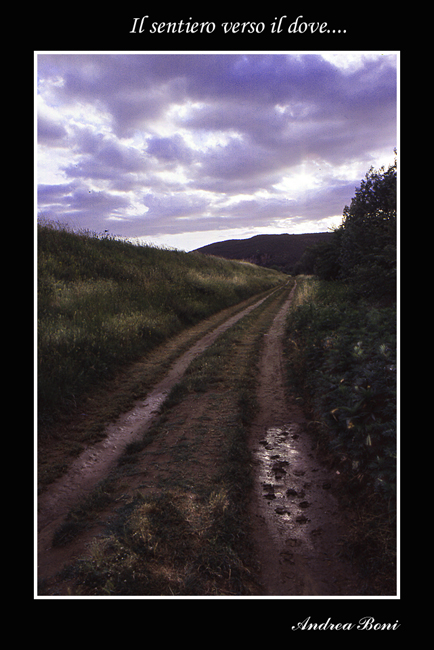 Il sentiero verso il dove....