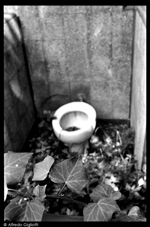 Mental Asylum Series II