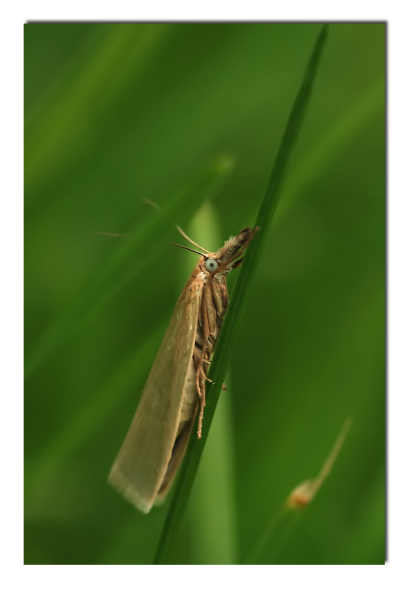 poco prima della sveglia....