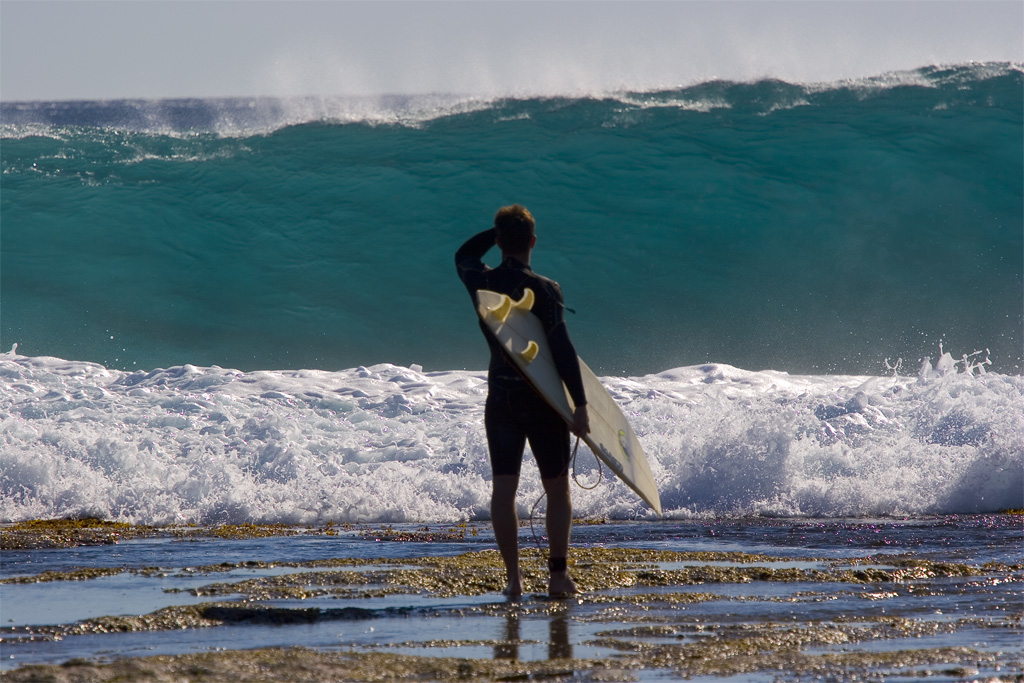 Che faccio ci provo?