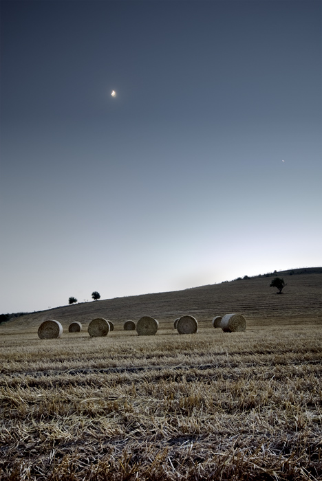 In una notte di luna