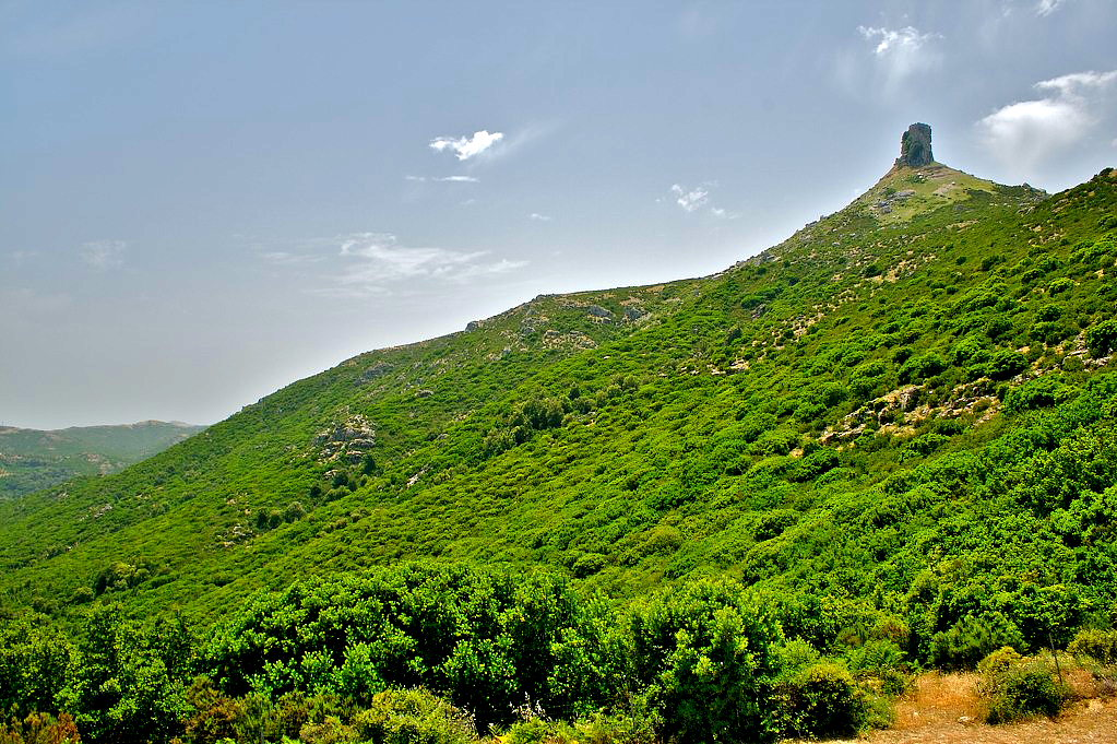 Perda e Liana (Catena del Gennargentu - Giugno 2007)