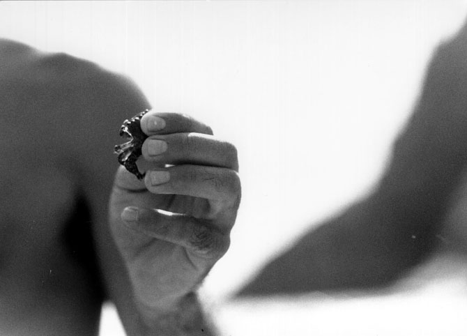 ho preso un granchio!