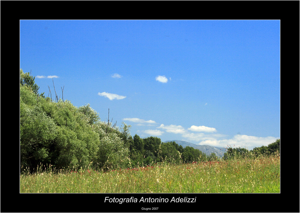 Auguri Biagio e figli maschi. Torna presto se no a chi quoto