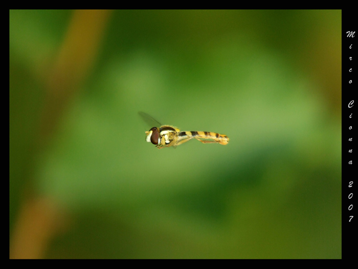 Verso nuove avventure