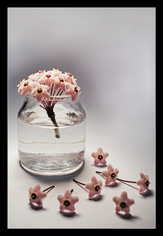 ...little flowers...