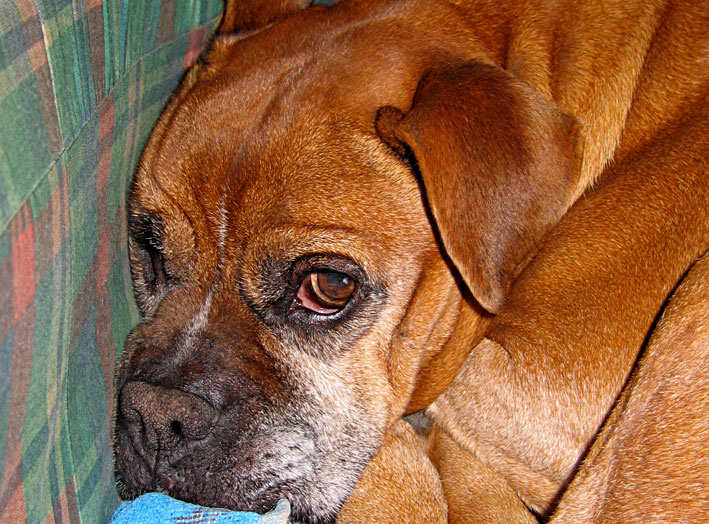 uff..non si pu� dormire in pace!!