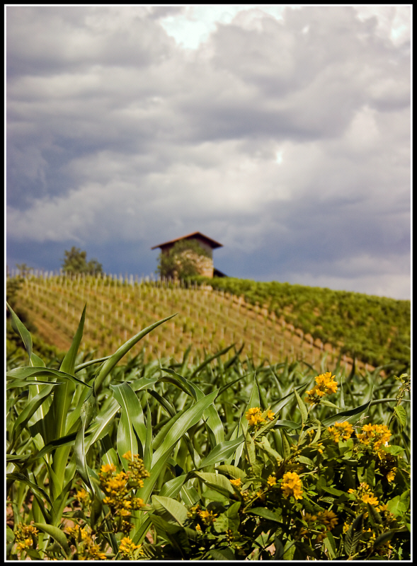 A ognuno il suo posto............