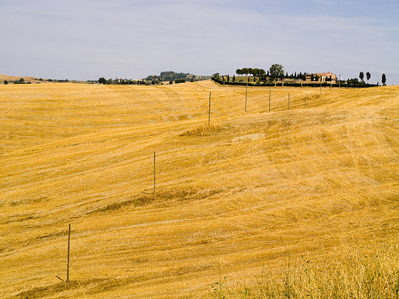 Crete Senesi #2