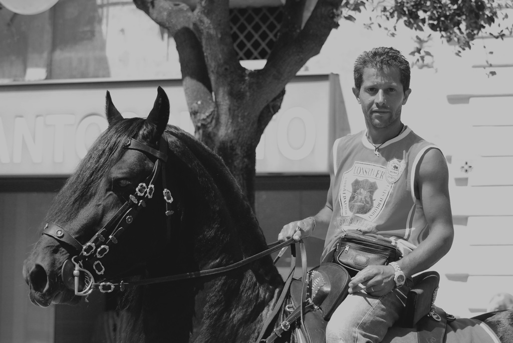 A caval Donato non si Guarda in Bocca