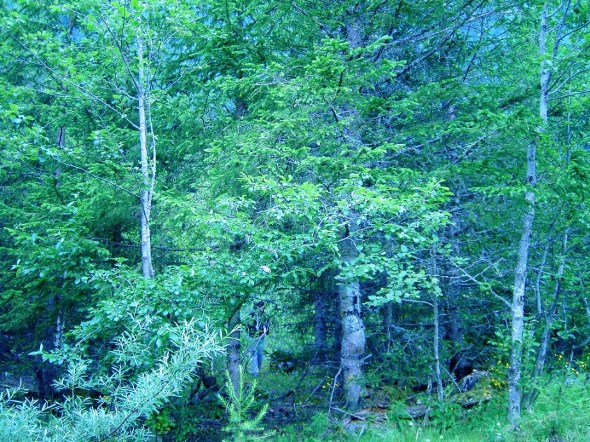 nascosta fra la  natura !!!!!!!!!