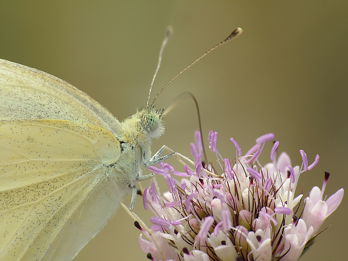 ...che sete che avevo...