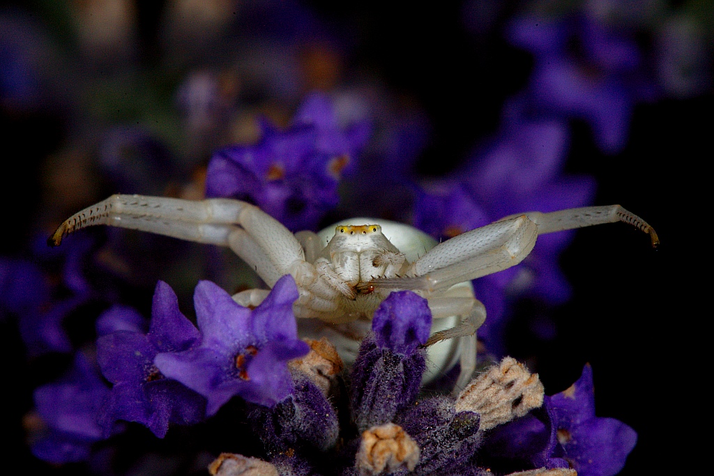Un bacino qui, grazie!