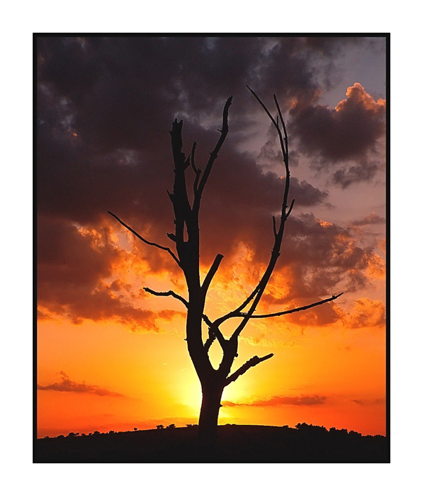 ......un'abbraccio.....