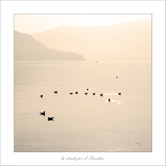 la strada per il Paradiso