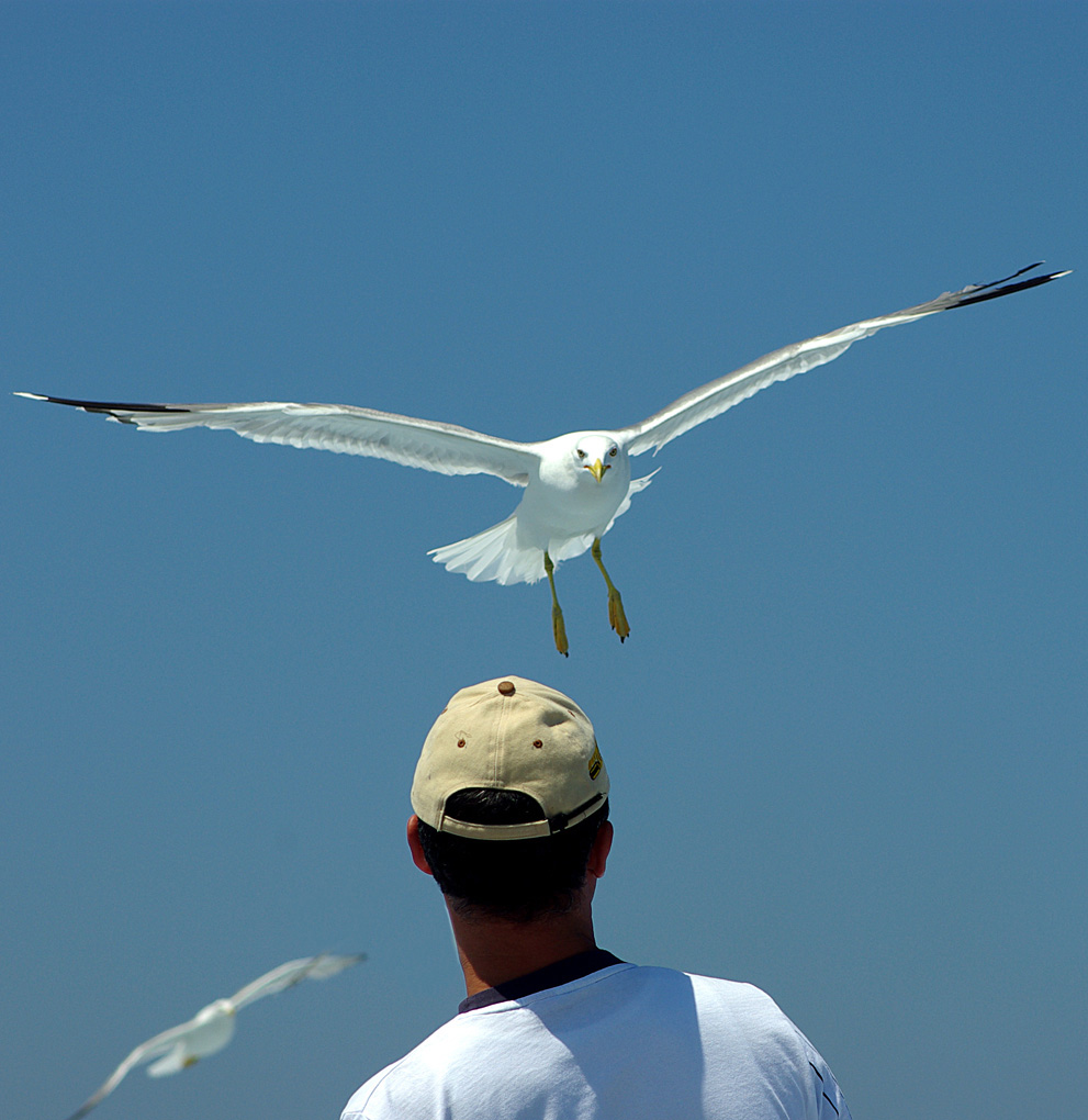 E questo che vuole!!??