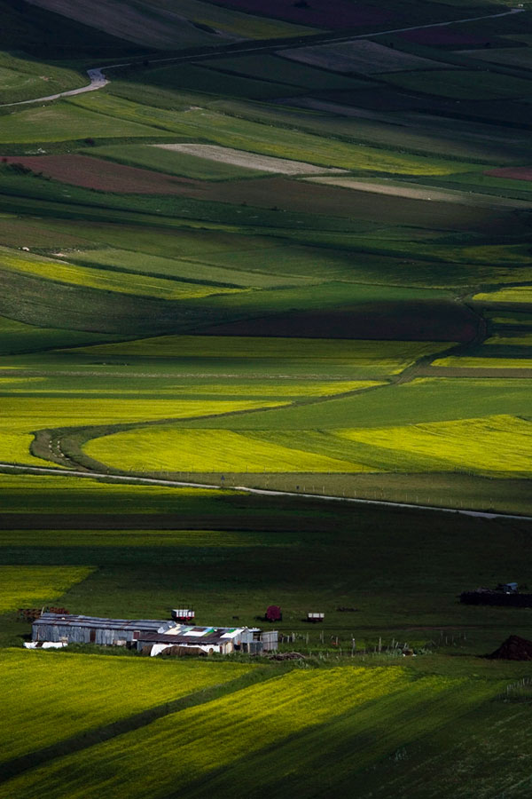 Fattoria-Piana-di-Castelluccio---NF5I3656