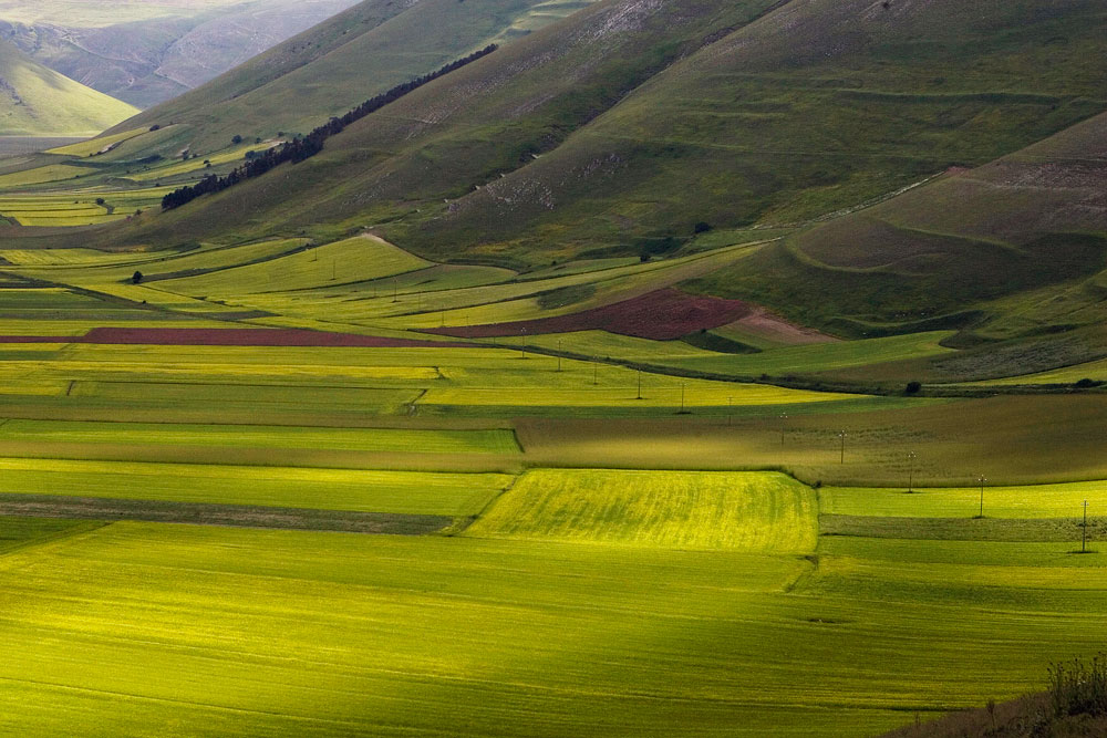 Piana-di-Castelluccio---NF5I3570