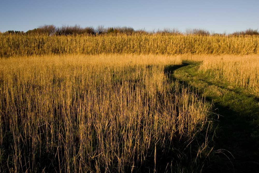 WWF-Park-Fiumicino---NF5I6032_0046