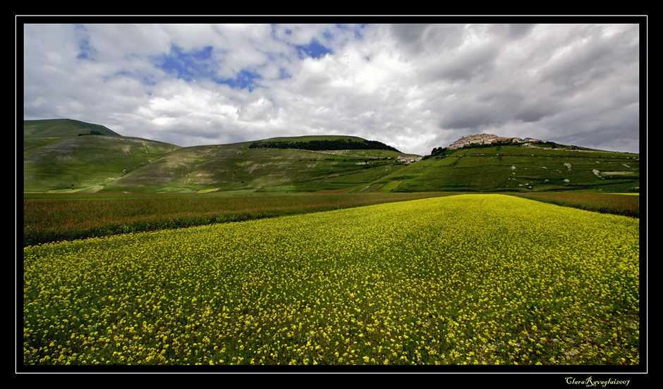 Fior di lenticchia .....a Castelluccio (Raduno umbro)