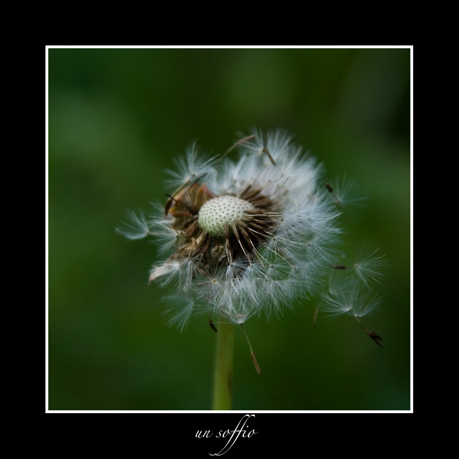 un soffio