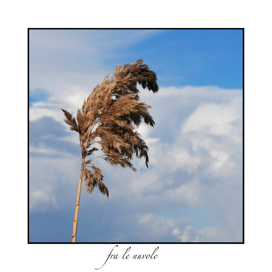 fra le nuvole
