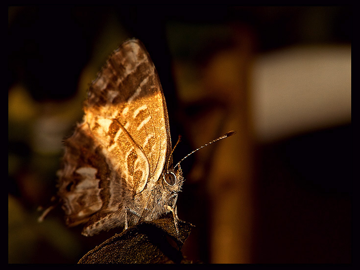 Esiste uno spiraglio di luce in ognuno di noi