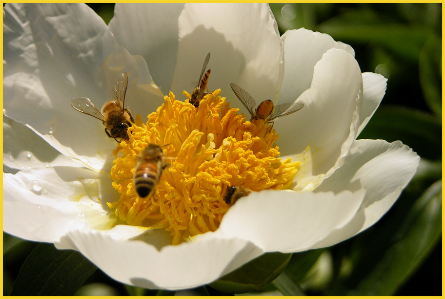 Aggiungi un posto a tavola ...