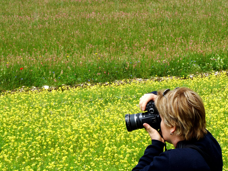 Imitando.............Silv - NonSoloFoto-UMBRIA 15-17 Giugno # 9