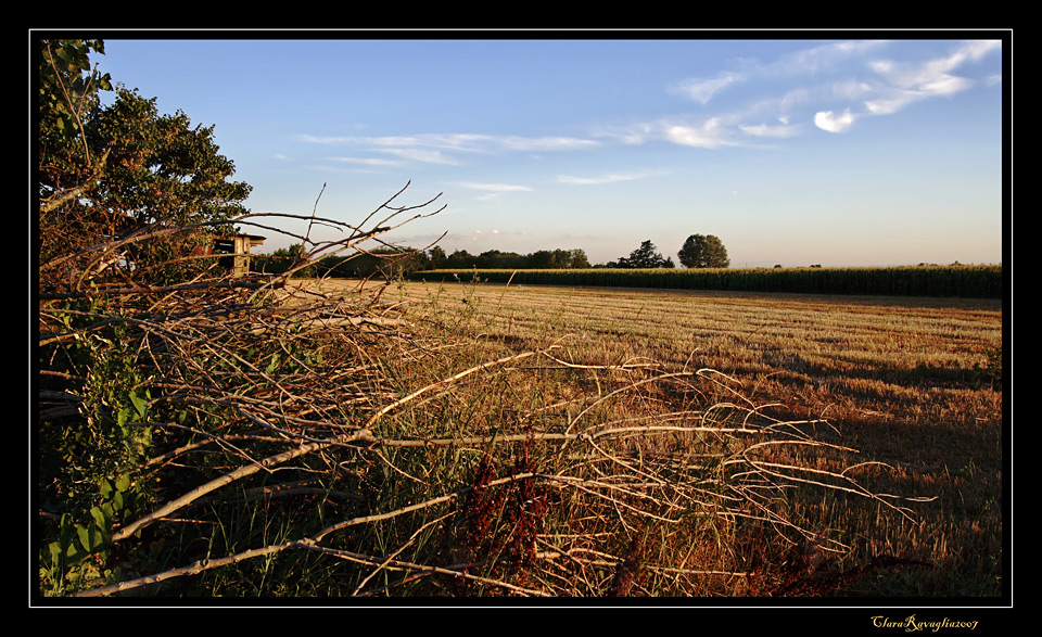 Quel che resta dell'oro......in campagna