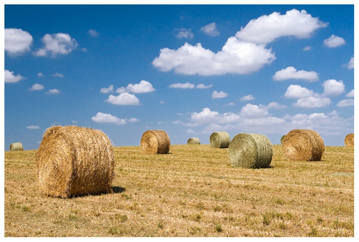 La magia dei colori estivi