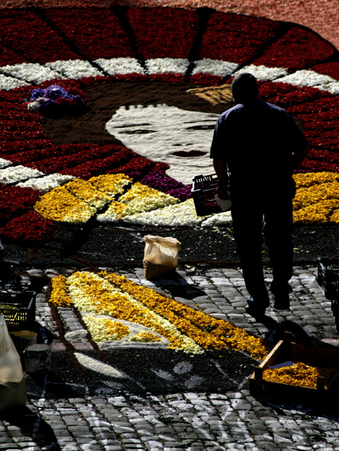 infiorata 2007