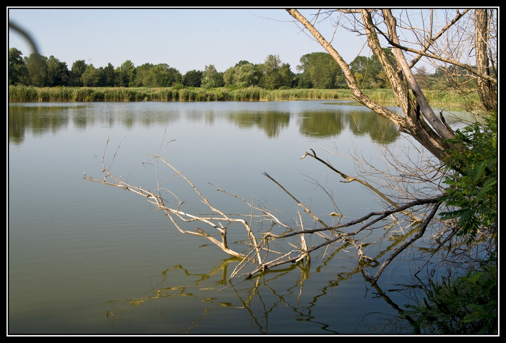scorcio (parco naturale torbiere lago d'iseo)