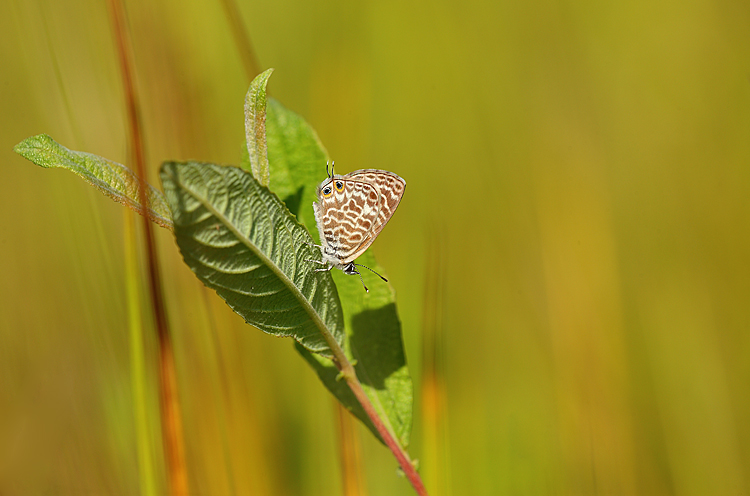 ...a tutti quelli del macroraduno...
