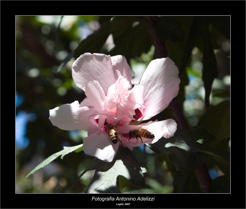 La mia prima macro  se si puo definire tale
