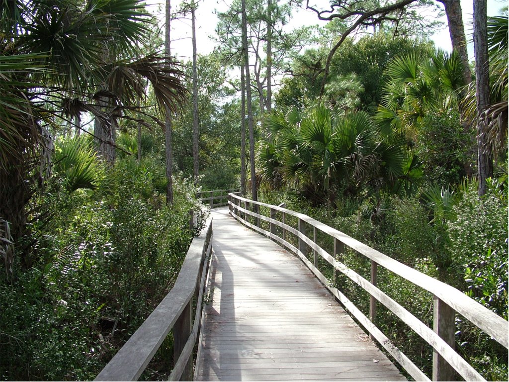 Passeggiata a Naples FL