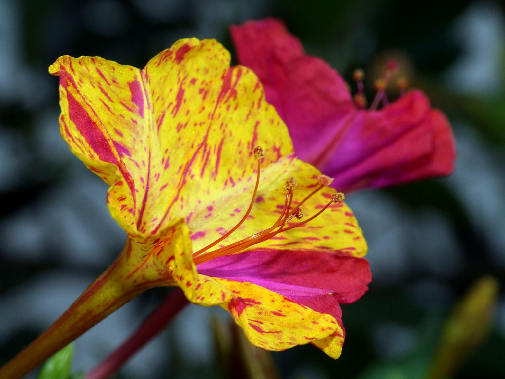 I love colours attoII