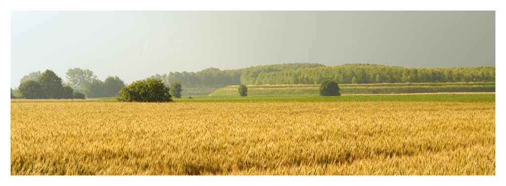 campagna parmense