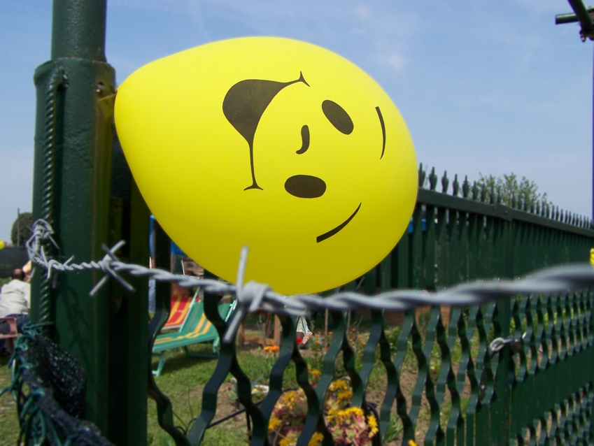 Palloncino temerario