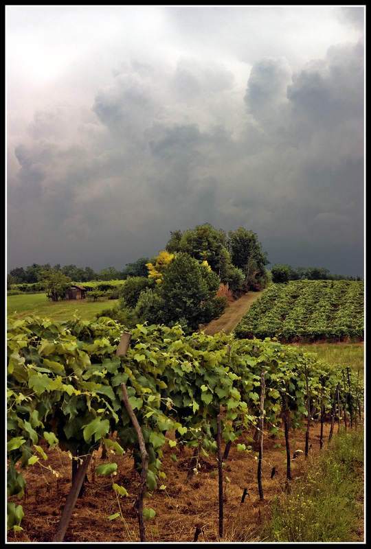 Prima della tempesta