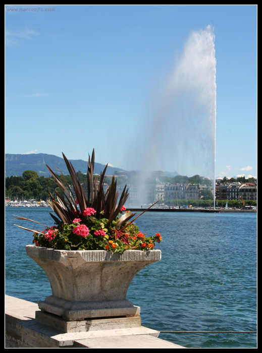jet d'eau