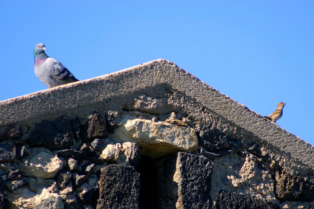 ...turisti per caso...