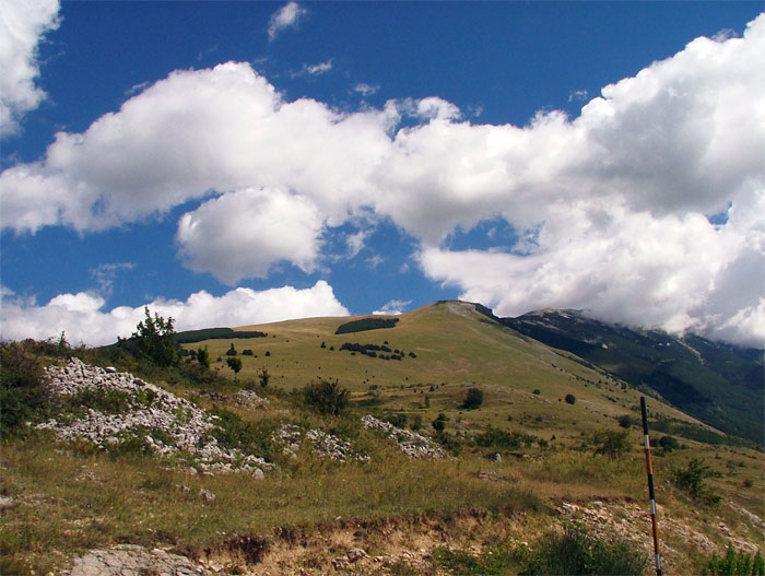 Majella Madre - Fuji s5000