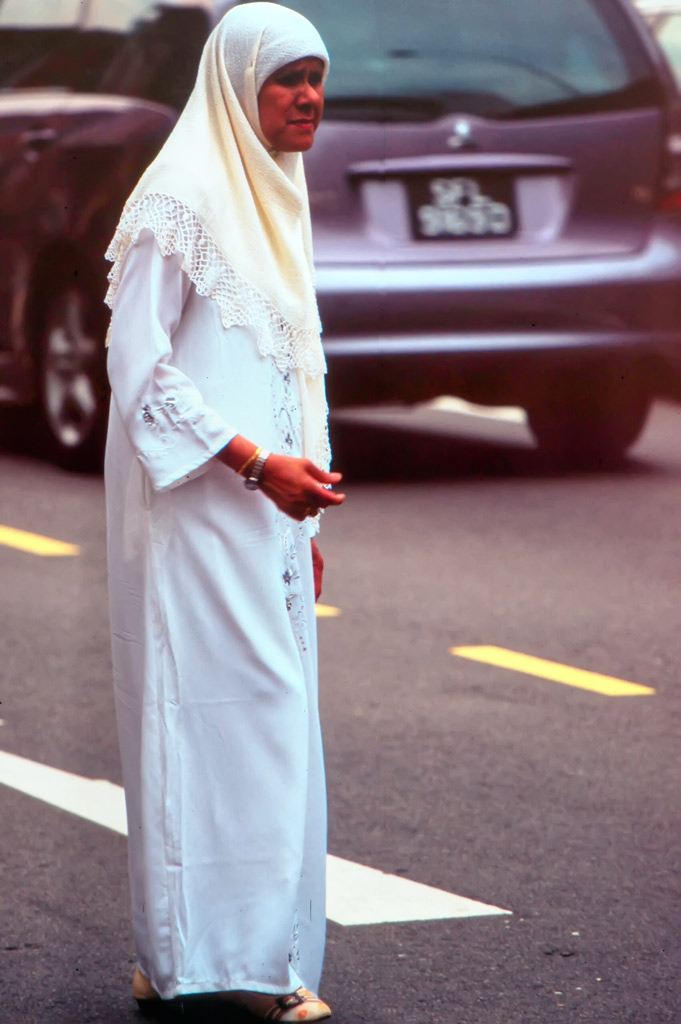 Camminando a Singapore