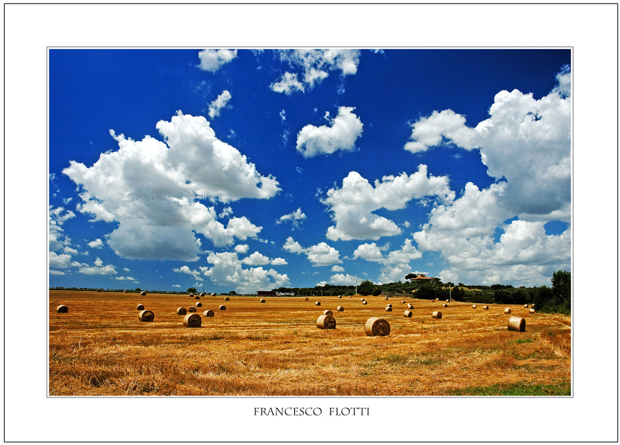 Paesaggio di meta' luglio