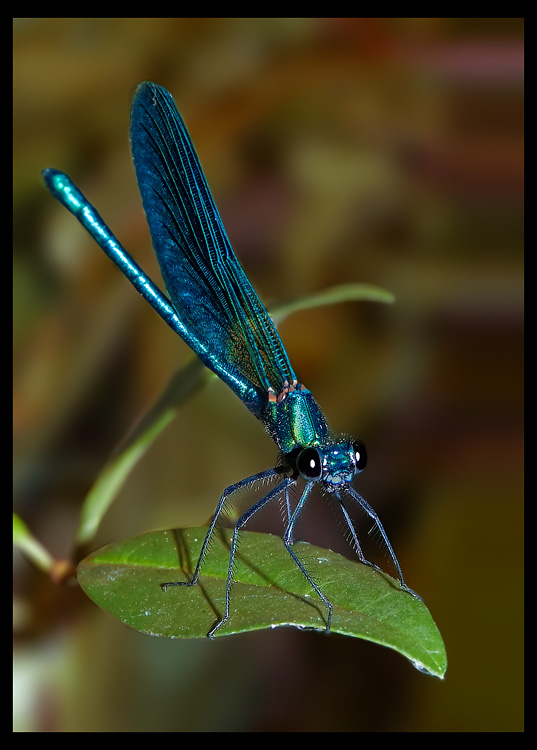 Una Posa accativante! [2]