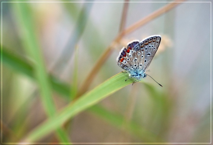 Late evening colours